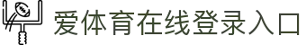 爱体育网页版登录入口-爱体育(中国)